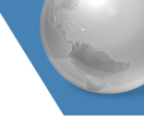 Silver logo image